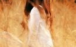 最近2019中文字幕一页二页